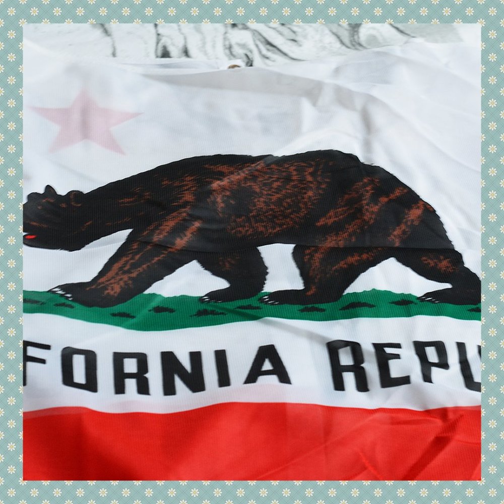 Large California Flag‎ Wall Hanging